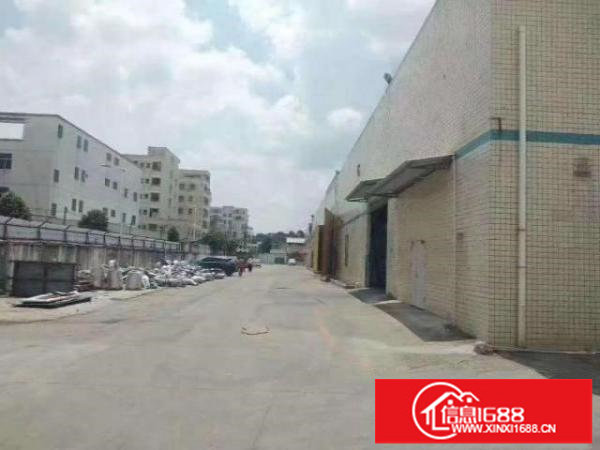 带红本观澜牛湖单一层独院钢构厂房出租1万平也可做物流仓库