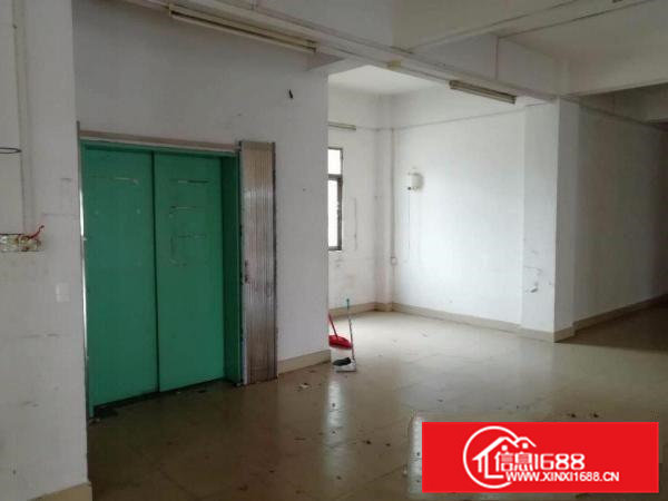 东莞市常平镇袁山贝文昌路厂房出租