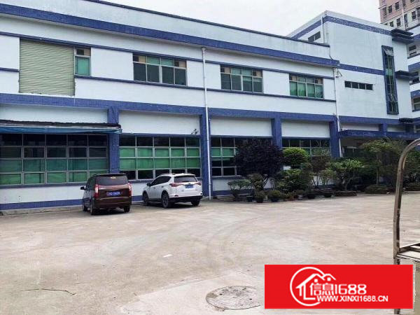 塘厦横塘经典小独院5200平方！靓象靓丽！现成装修