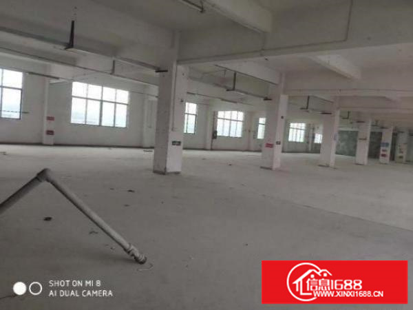 坂田原房东消防喷淋齐全配备两部货梯提高生产效率