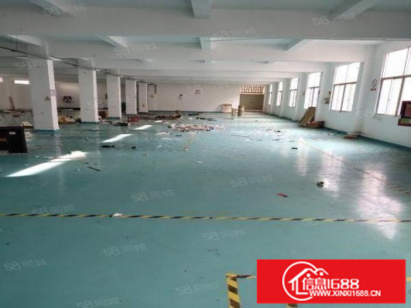 平湖一楼1300平方出租