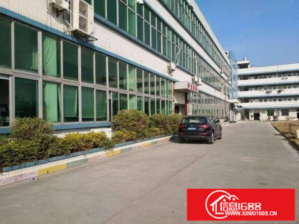 龙岗坪地汽车站附近一楼标准厂房1250平高度5米