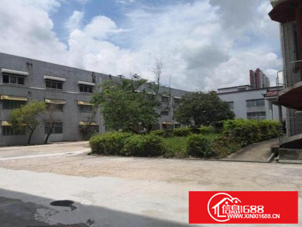 龙岗大道边上（独院厂房）约26000平厂房出租可做商业