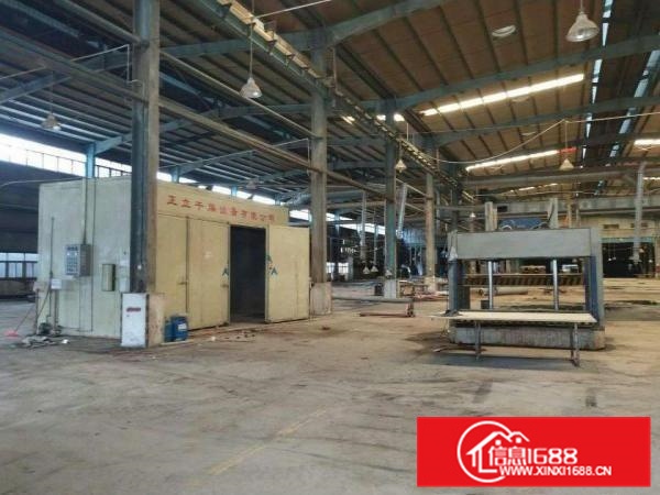 新圩南坑新出原房东滴水8米高钢构招租，可分租