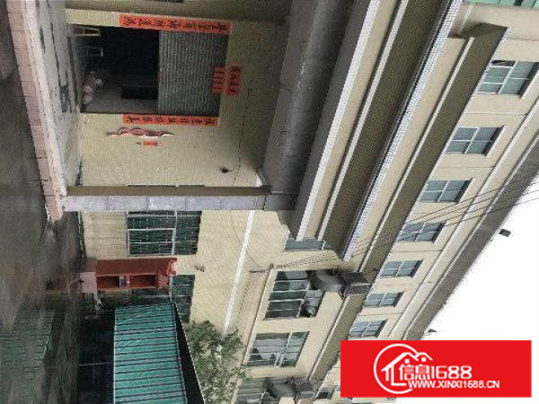 原房东原房东原房东独院厂房出租