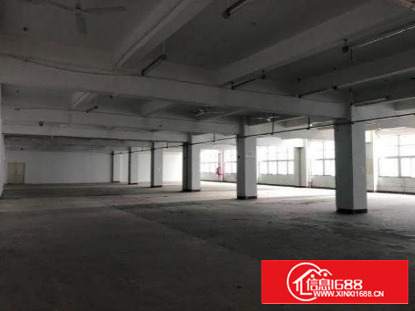 石岩应人石原房东1400平厂房出租