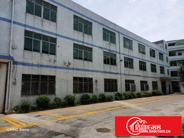 坪山石井坪葵路边独栋厂房4800平方招租