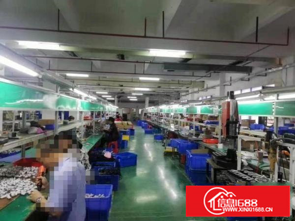 精装修水电齐全塘厦大坪适合电子楼上厂房出租1400平米