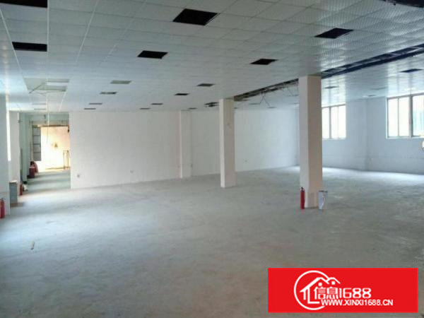 雁田原房东三楼整层出租