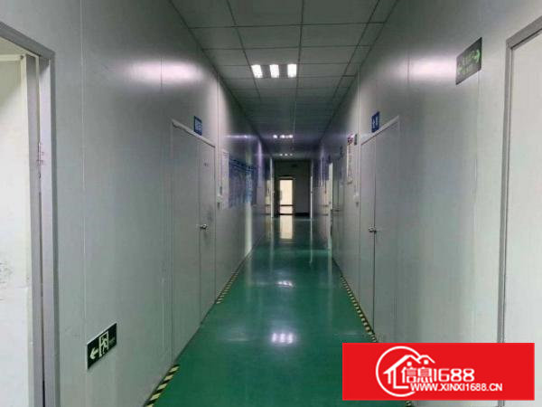 13元二楼地平漆加豪华办公室装修厂房转租