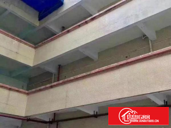 交通便利、一手房东、一共三层、整租或分租都可。