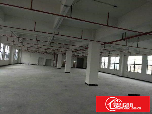 桥头工业区新出标准独院三层3200平米可分租厂房