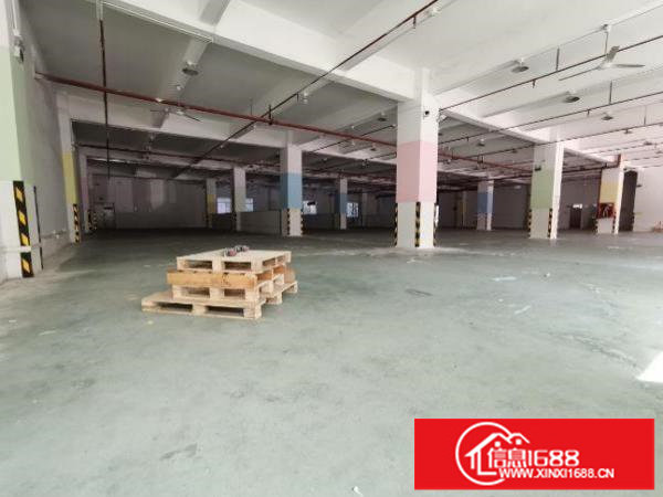 坂田原房东厂房，2000平，价格25可谈，独门独院，通车方便