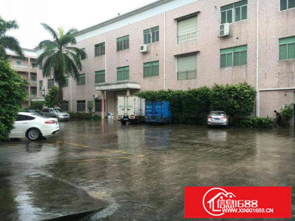 龙西原房东无公摊出租二楼1000平有装修适合电商办公电子