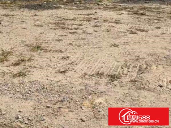 龙华观兰独院空地约8000平方不限行业