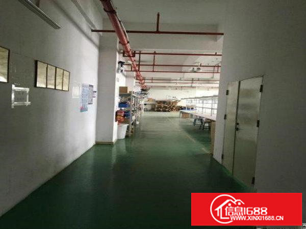 坪山石井原房东独院厂房11200平米出租可分租