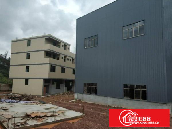 新圩镇隆全新7000平方钢构出租