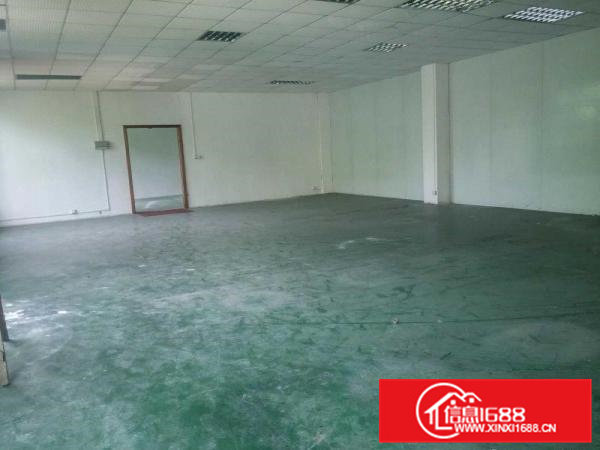 桥沥招租标准一楼厂房1200平方可做塑胶行业