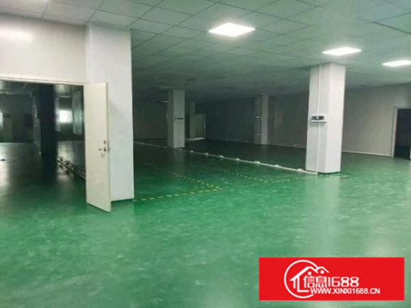 阳光工业区附近楼上1200平带装修厂房出租