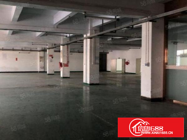 塘厦沙湖新出1700平标准厂房出租带绿色地坪漆价格实在