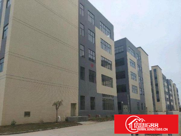 小金柏岗村委旁工业园独栋三层4000平厂房出租