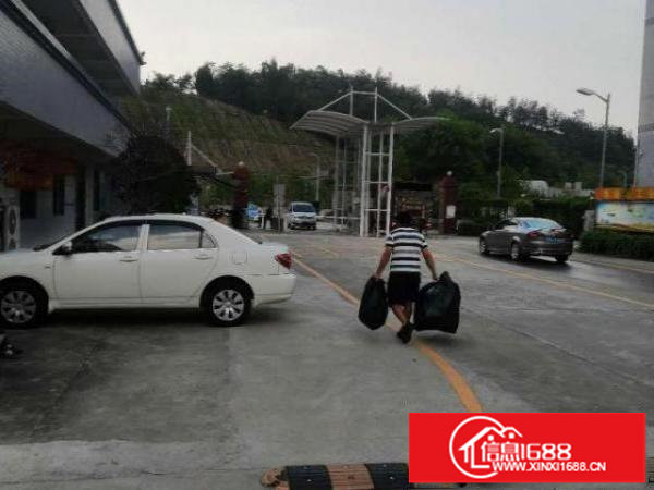 出租龙华观澜厂房出租1412.5平方，可拆分租