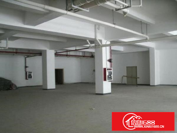 常平袁山贝新鲜出炉标准厂房两栋两层共2500方