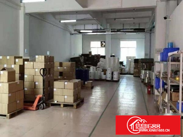 朗洲独门独院原房东一楼1000平招租实际面积可办环评