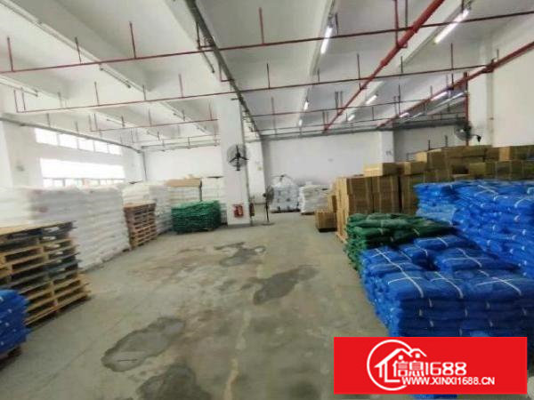 观澜福民茜坑一楼带牛角6米高，实际面积出租，面积大小可分