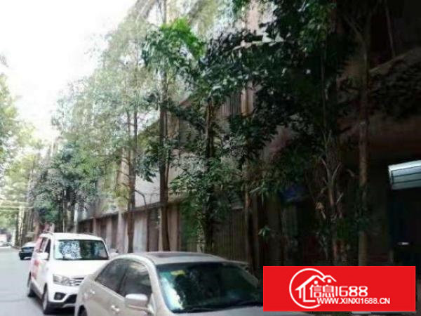 平湖厂房招租带电梯独栋独院