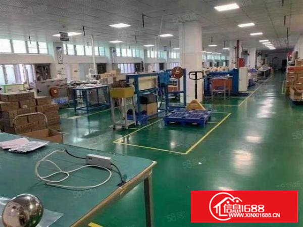 塘厦科苑城科技园新出1000平吊顶装修厂房，无转让费，面积实