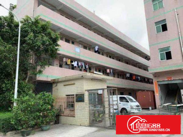 出租龙岗区平湖厂房和厂房