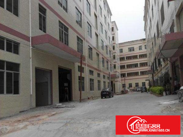 全新独栋5000平方厂房出租！可整租也可分租最小五百