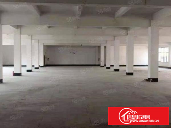 万江智能产业园|778平标准厂房|生活配套齐全|周边环境好