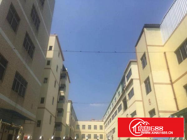 莲湖商业街2480平米一楼标准厂房，500平起，临林村/高速