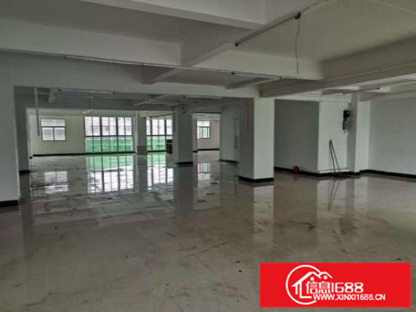 龙岗全新500平厂房出租豪华装修水电齐全带电梯