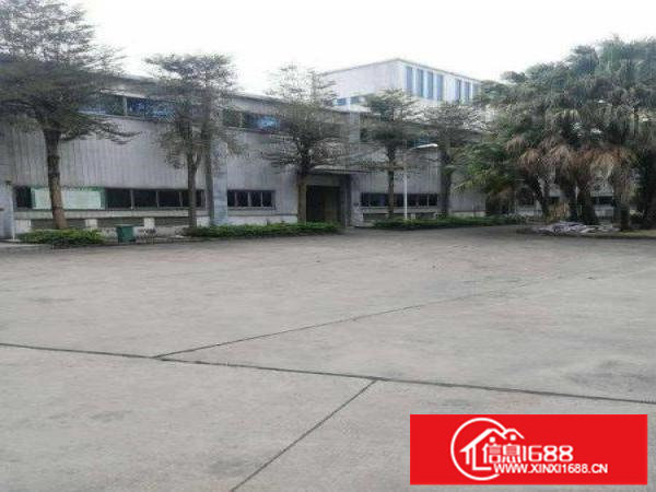 横岗荷坳新出钢构厂房16000平原房东直租