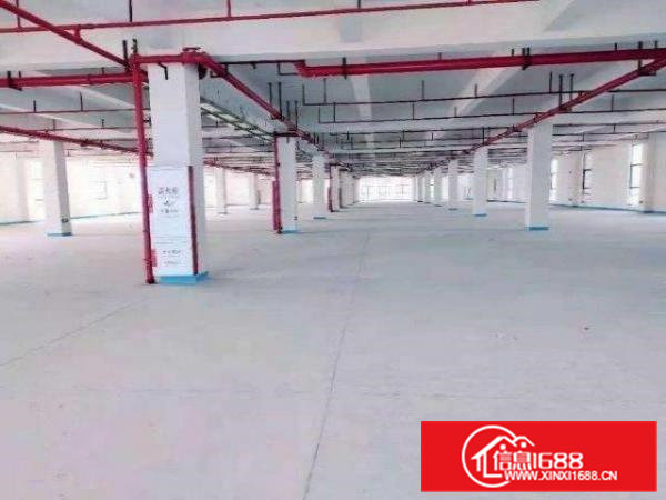 东坑镇原房东红本独院厂房2万平方出租50租大马路边