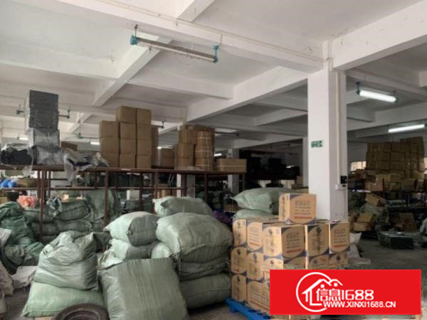 茶山增埗标准一楼厂房600平方分租，价格实惠