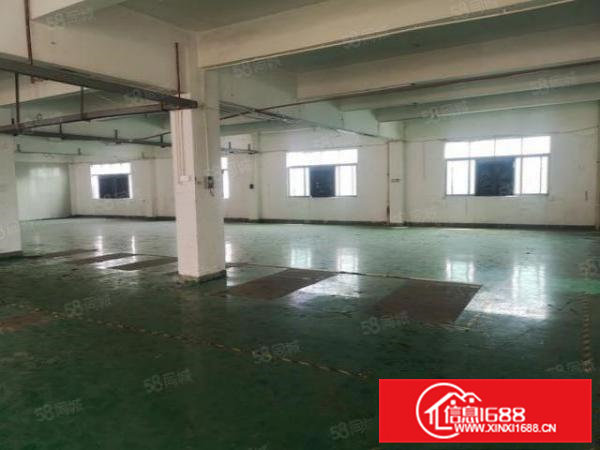 横沥新出原房东楼上1250平方带办公室主线洗手间无需转让费