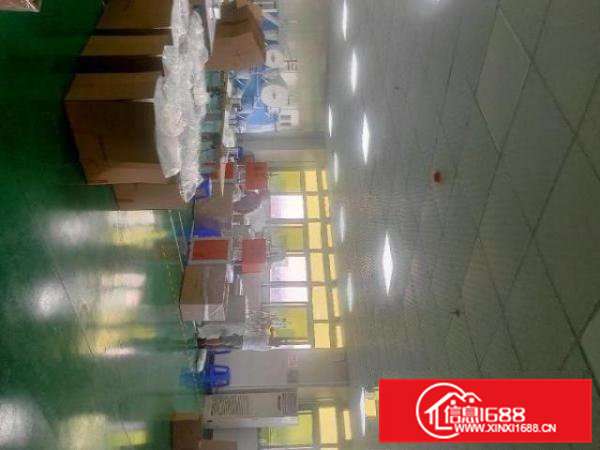 寮步标准厂房一楼2700平方，交通非常便利