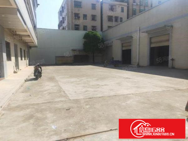 大朗蔡边白云前工业区新出独院单一层钢构厂房3600平，高7米