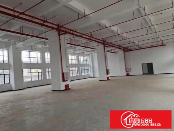 全新不锈钢5吨货梯，整栋消防栓消防喷淋烟感系统完善