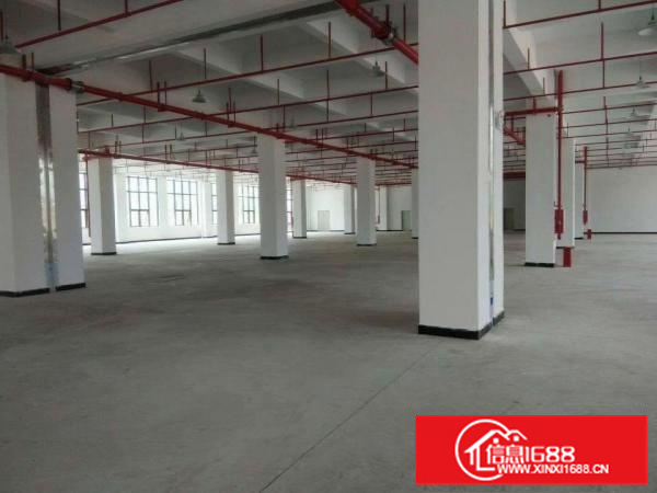 惠环惠城区三栋镇工业区独栋厂房出租19500平米