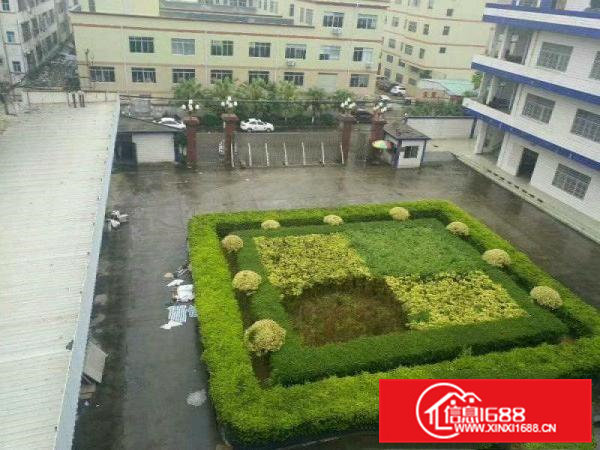 清溪三中20000平方花园式标准独院厂房出租