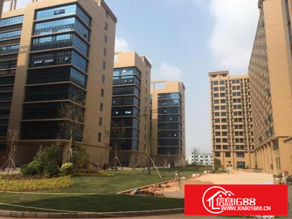 凤岗镇高新科技园研发中心及微创基地厂房按需出租