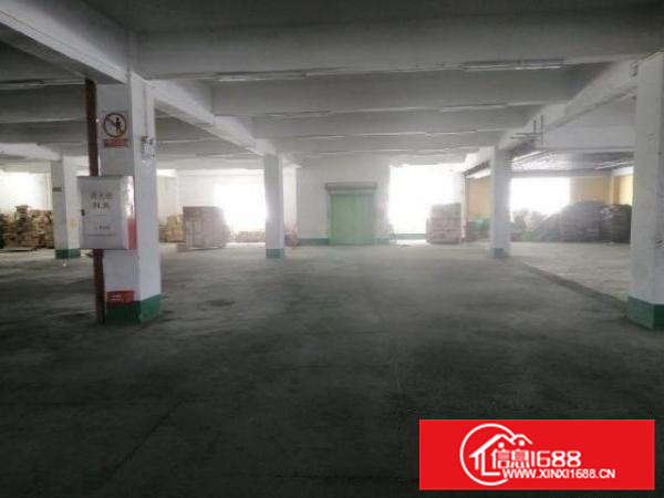 不在改造范围，形象好，顺德勒流1800方标准厂房出租
