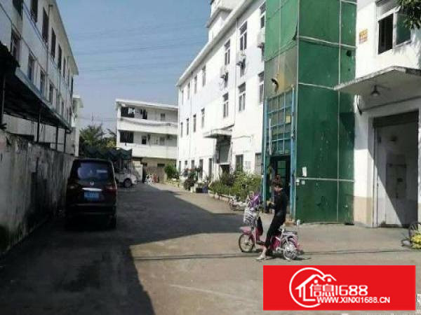 坪山碧岭楼上无公摊450平方厂房急租