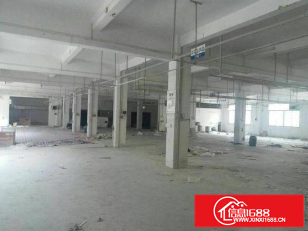 横沥镇新出原房东独院厂房招租4500