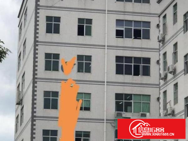 梅观高速高速路口附近，独门独院厂房出租